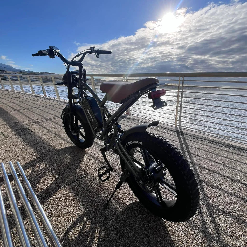 jansno x50 Adult Electric Bike 750W Motor EBicycle 48V 14AH 20 Inch Tire E-Bike