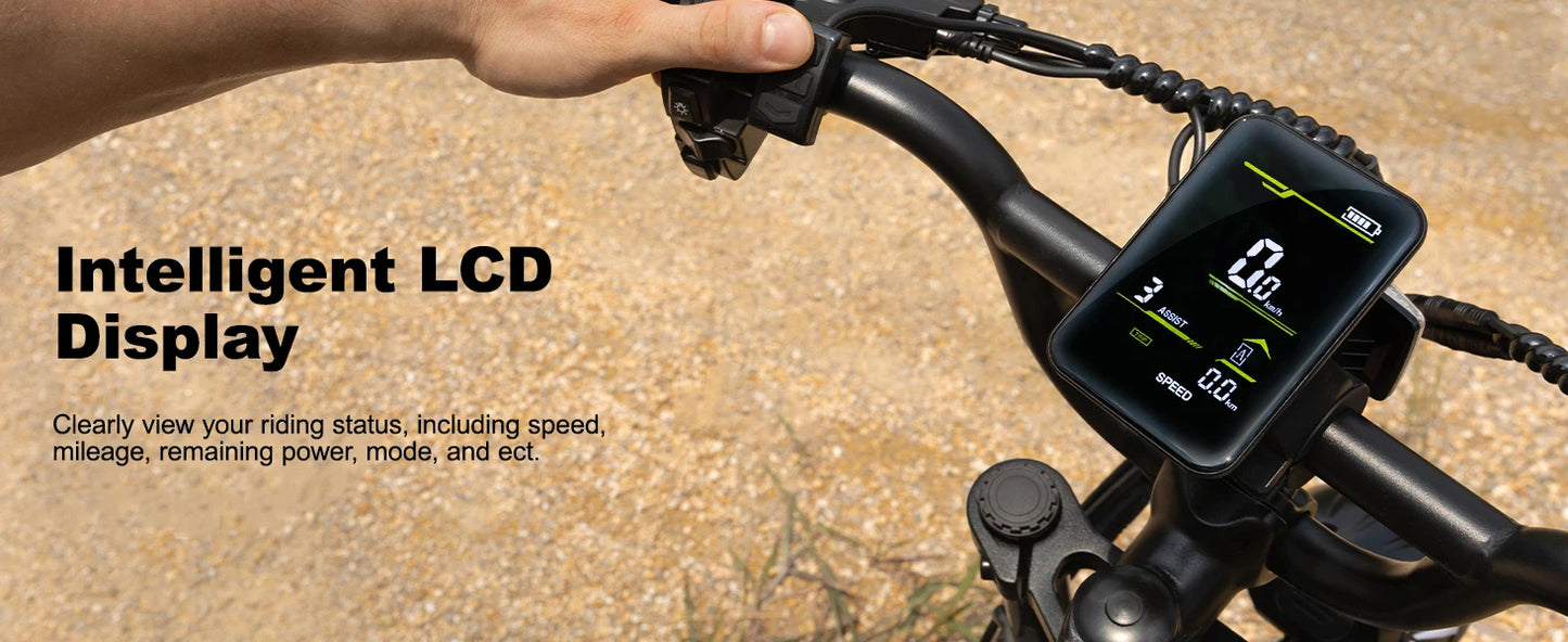 VDL Mountain Electric Bike , 16" Fat Tire Ebike, Wider Seat 800W Peak Motor, Removable Battery,