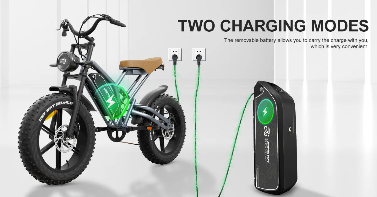 jansno x50 Adult Electric Bike 750W Motor EBicycle 48V 14AH 20 Inch Tire E-Bike