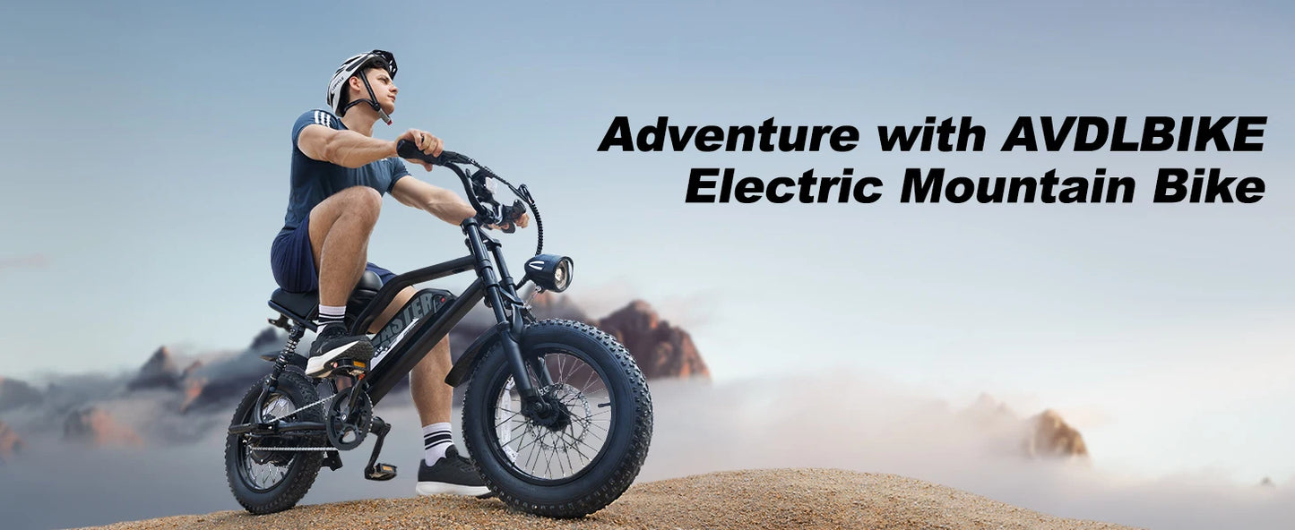 VDL Mountain Electric Bike , 16" Fat Tire Ebike, Wider Seat 800W Peak Motor, Removable Battery,