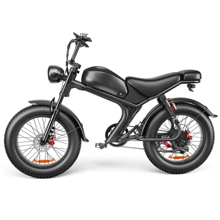 Electric bike C93 2000w dual motor 48V 23AH lithium battery adult Electric bicycle