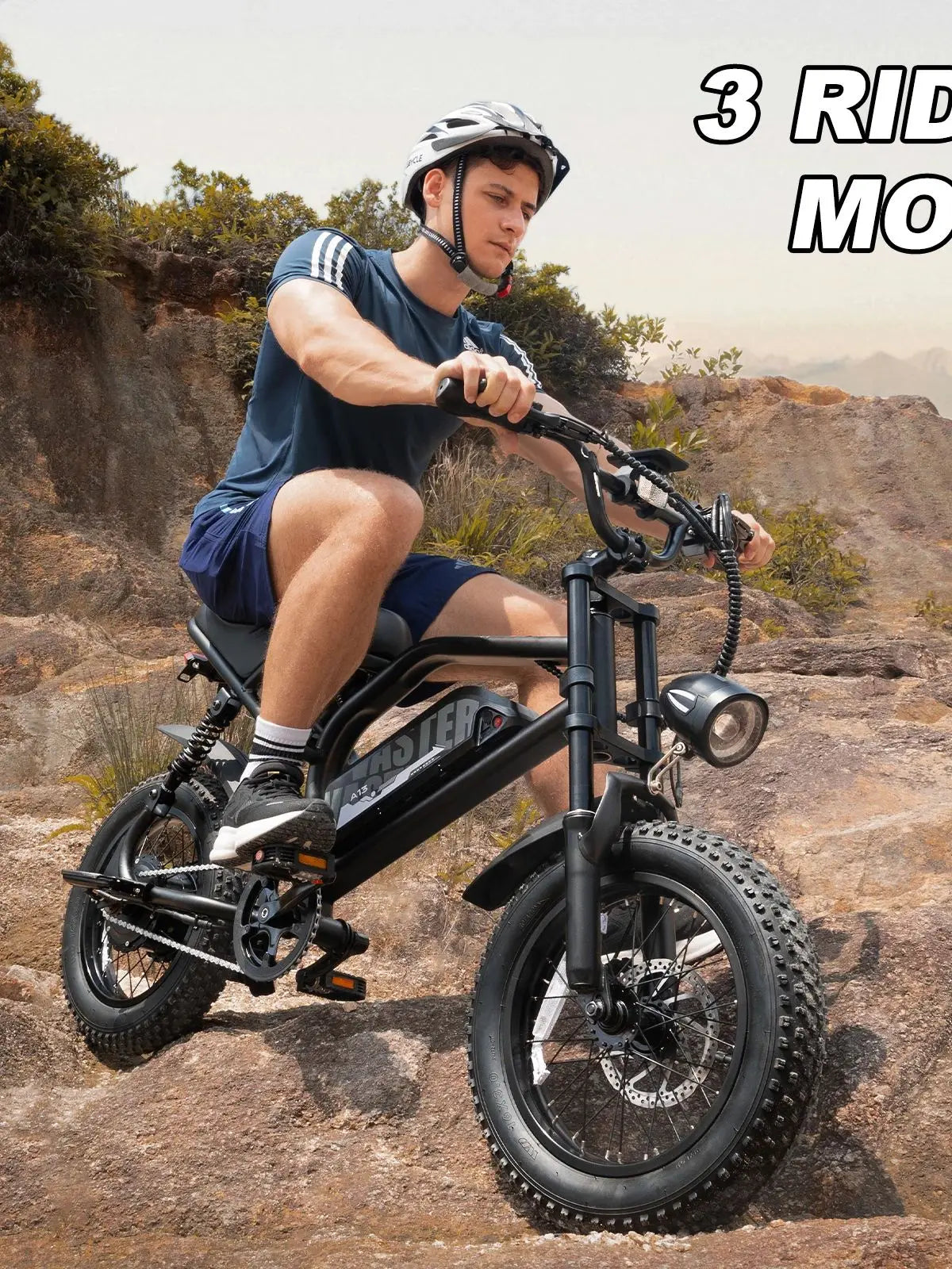 VDL Mountain Electric Bike , 16" Fat Tire Ebike, Wider Seat 800W Peak Motor, Removable Battery,