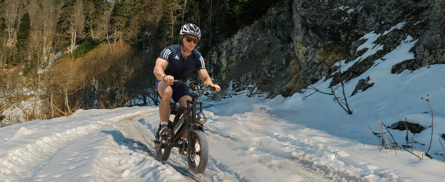 VDL Mountain Electric Bike , 16" Fat Tire Ebike, Wider Seat 800W Peak Motor, Removable Battery,