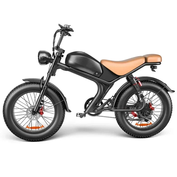 Electric bike C93 2000w dual motor 48V 23AH lithium battery adult Electric bicycle