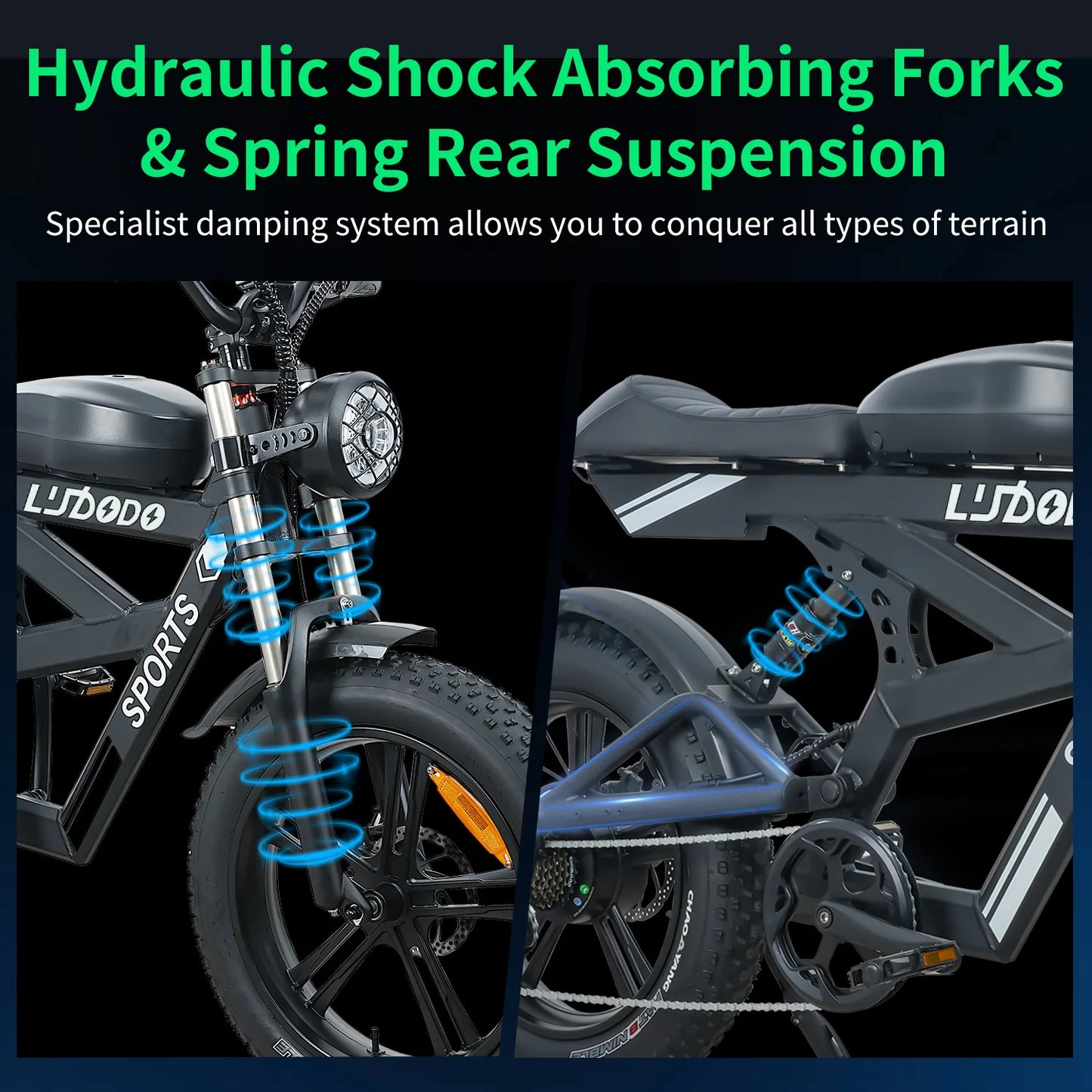 AK2 Electric Bicycle Motorcycle 750W Motor 75Miles Snow Electric Bike