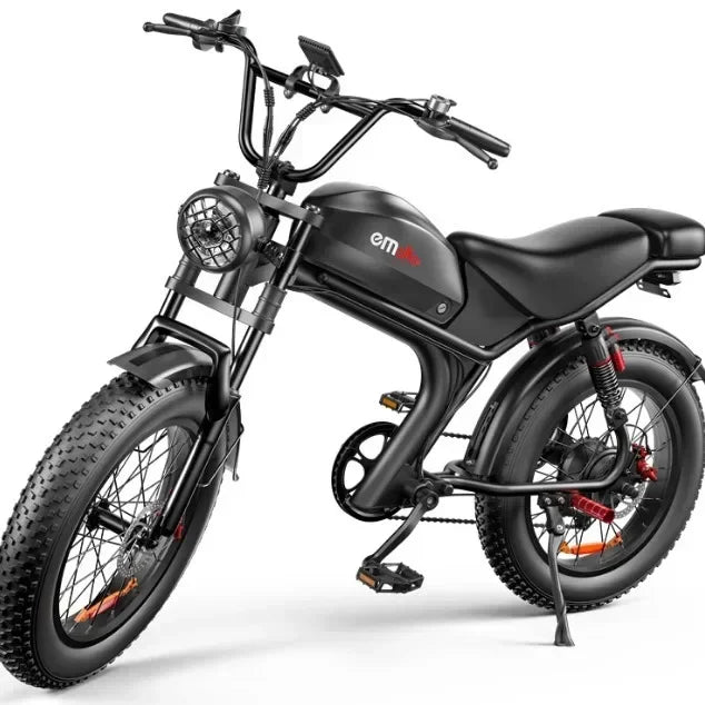 Electric bike C93 2000w dual motor 48V 23AH lithium battery adult Electric bicycle