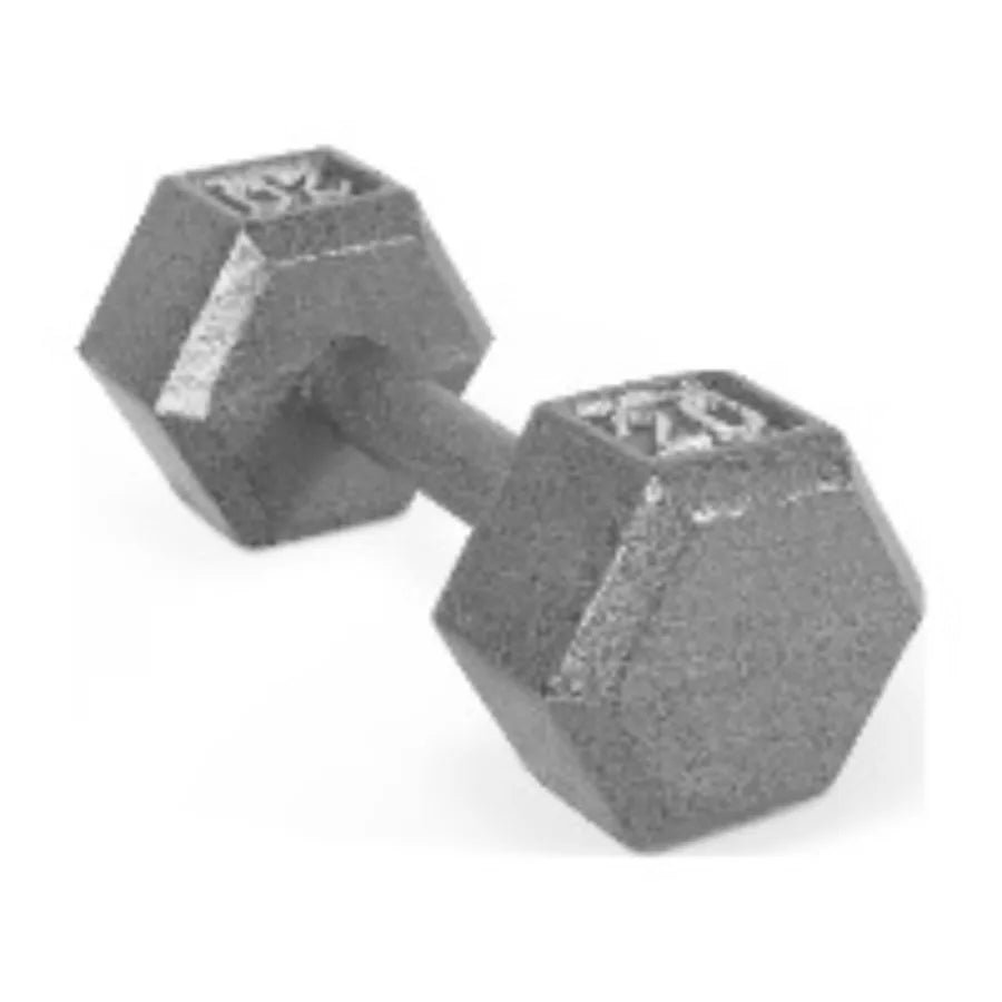 20lb Cast Iron Hex Dumbbell Single, Solid One Piece Weight for Home Gym Strength Training,