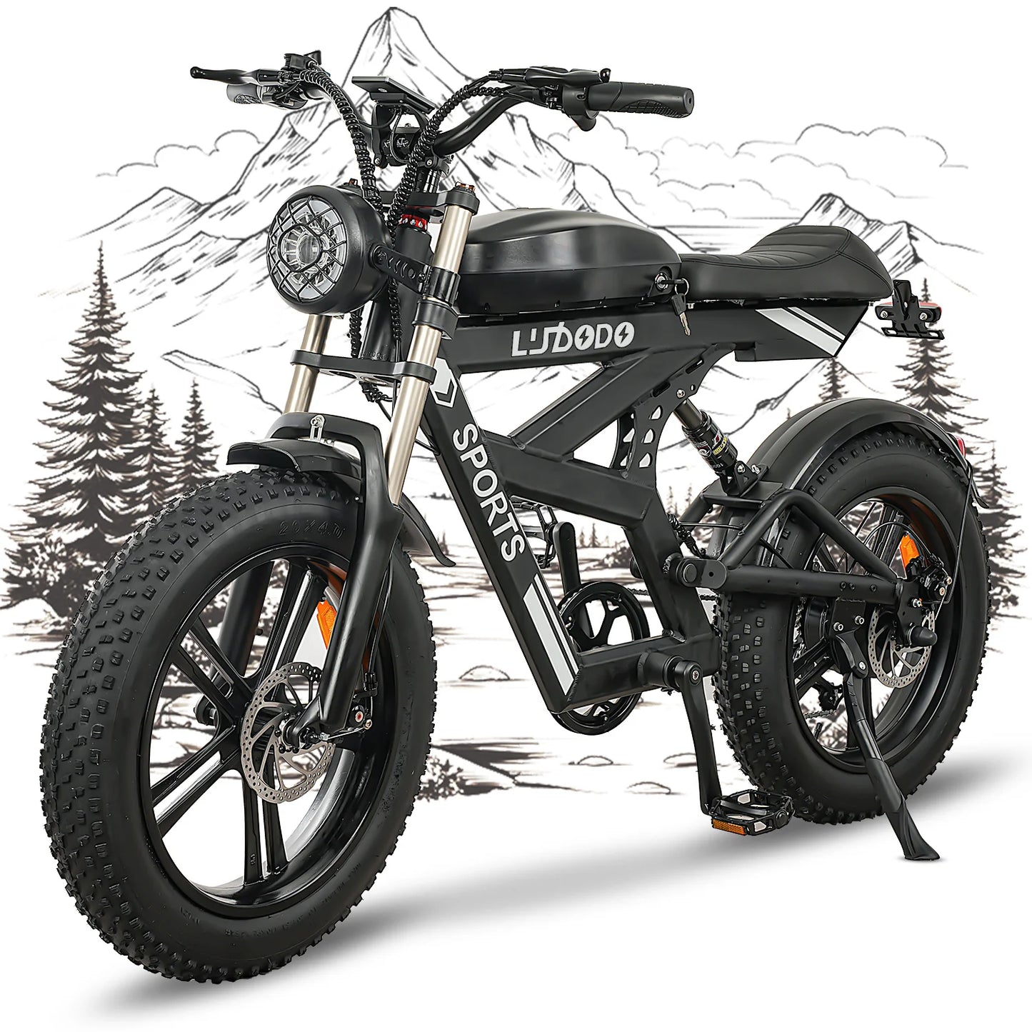 AK2 Electric Bicycle Motorcycle 750W Motor 75Miles Snow Electric Bike