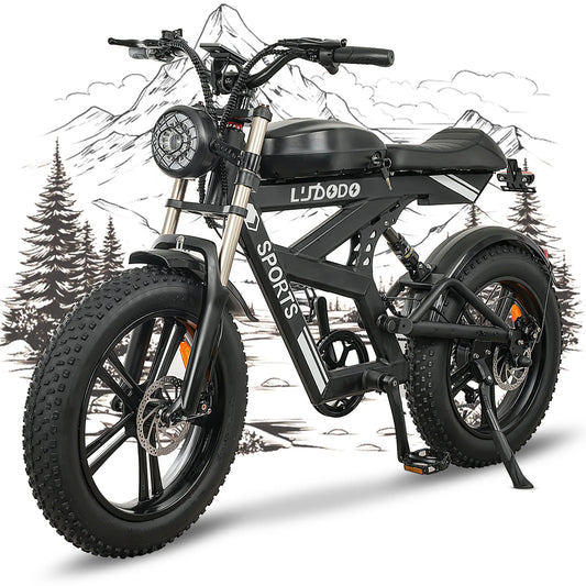AK2 Electric Bicycle Motorcycle 750W Motor 75Miles Snow Electric Bike