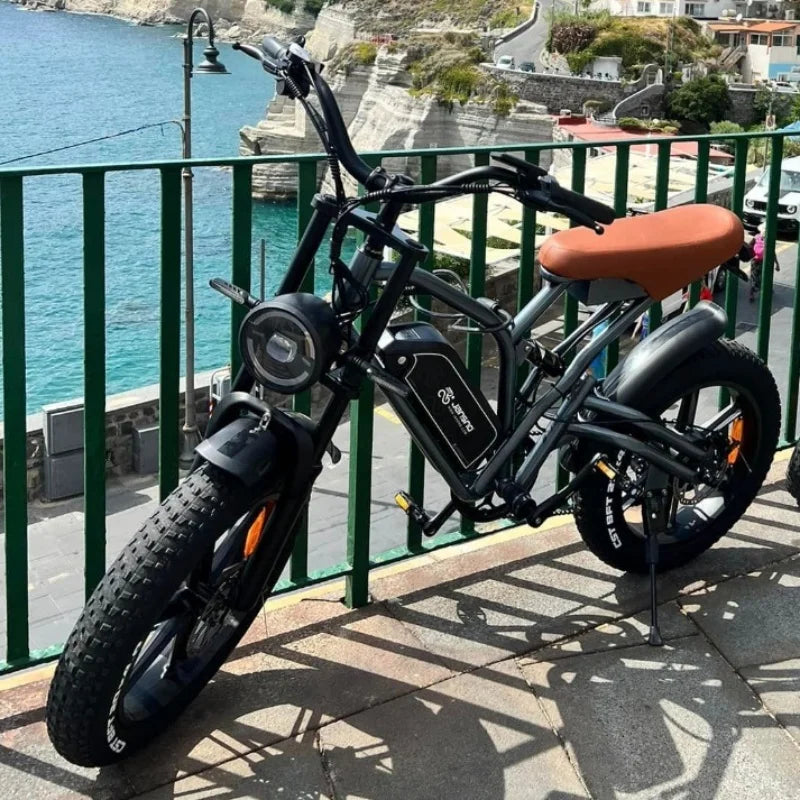 jansno x50 Adult Electric Bike 750W Motor EBicycle 48V 14AH 20 Inch Tire E-Bike