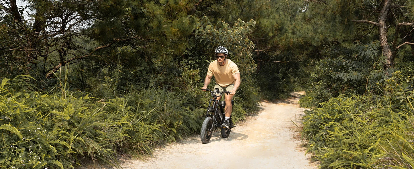 VDL Mountain Electric Bike , 16" Fat Tire Ebike, Wider Seat 800W Peak Motor, Removable Battery,