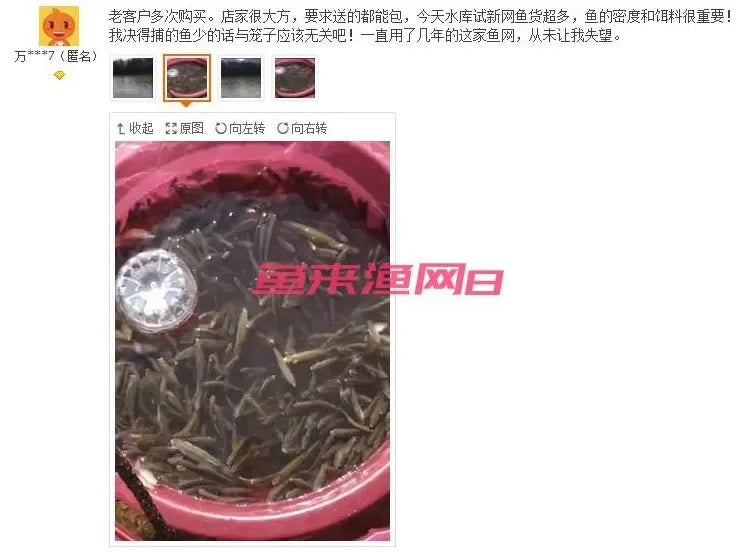 Shrimp cage fishing net lobster crab eel loach catch folding net fishing gear fishing net