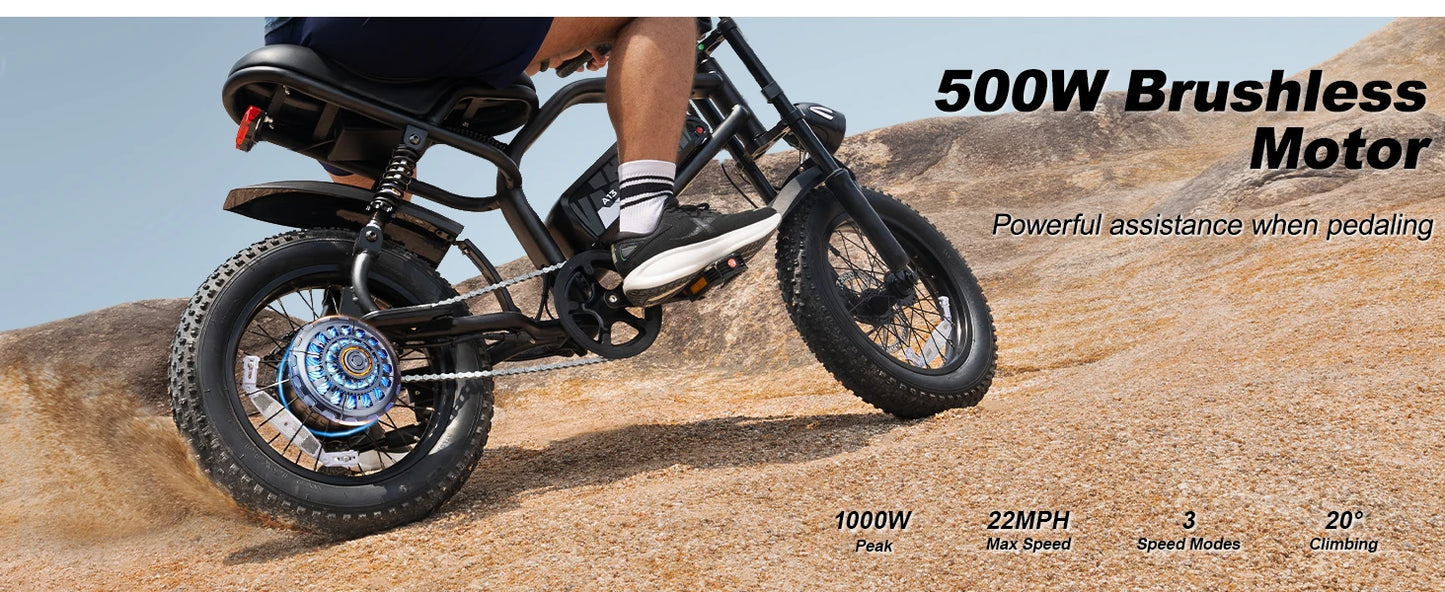 VDL Mountain Electric Bike , 16" Fat Tire Ebike, Wider Seat 800W Peak Motor, Removable Battery,