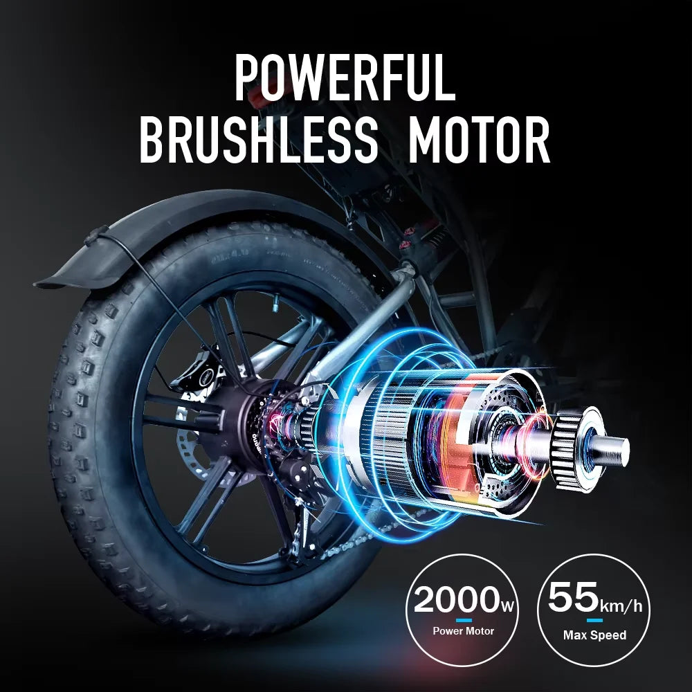 Deepower Electric Bike QS7 1000W 48V 60AH 20 Inch Fat Tire Ebike for Adults Mountain Off-Road Dual Batteries