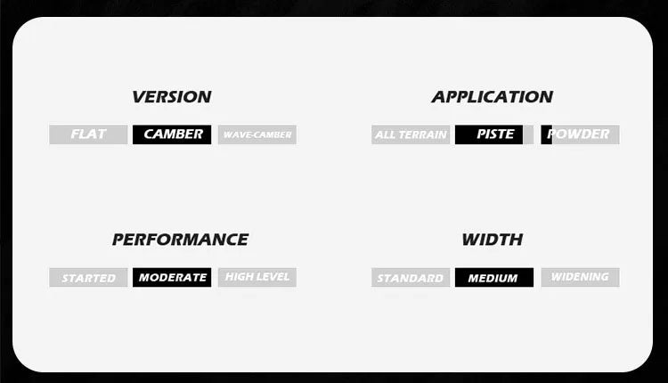 OEM Top Quality Ski Winter Sports Twin Tip Mountain Snow Alpine Ski