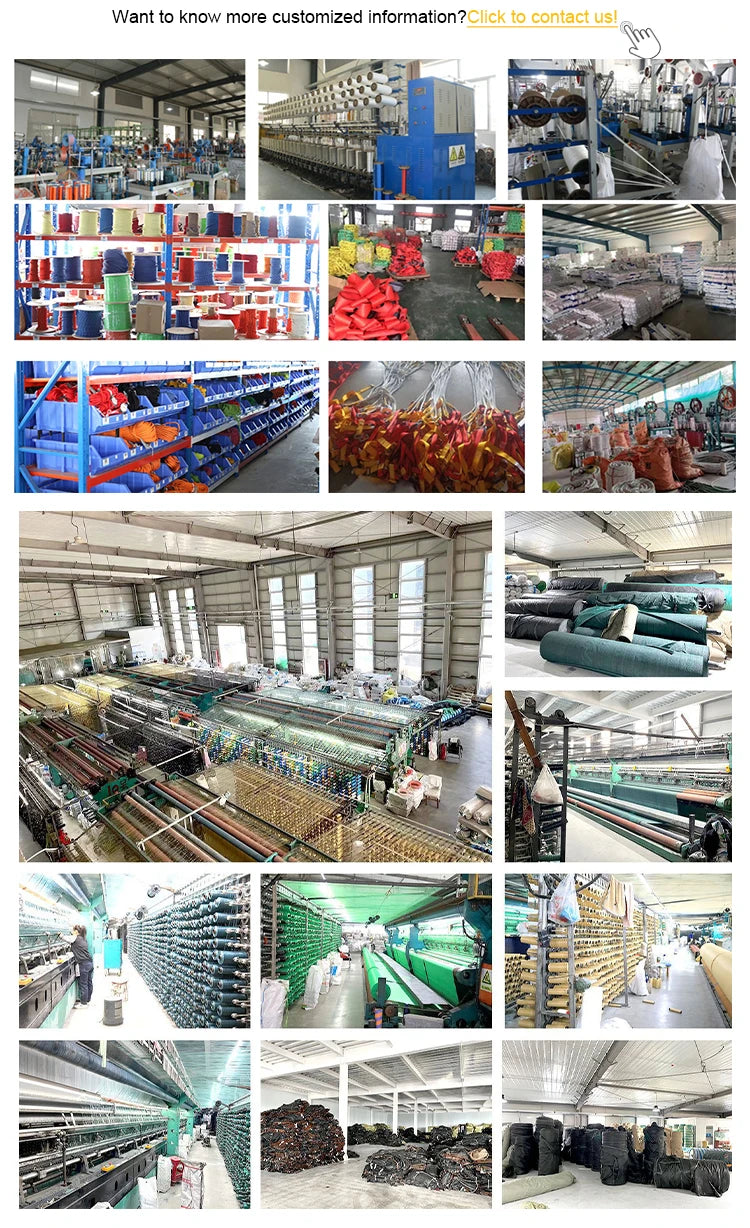 OEM Top Quality Ski Winter Sports Twin Tip Mountain Snow Alpine Ski