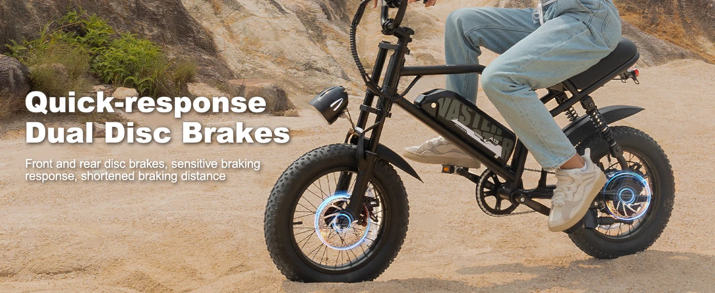 VDL Mountain Electric Bike , 16" Fat Tire Ebike, Wider Seat 800W Peak Motor, Removable Battery,