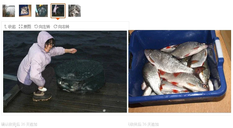 Shrimp cage fishing net lobster crab eel loach catch folding net fishing gear fishing net