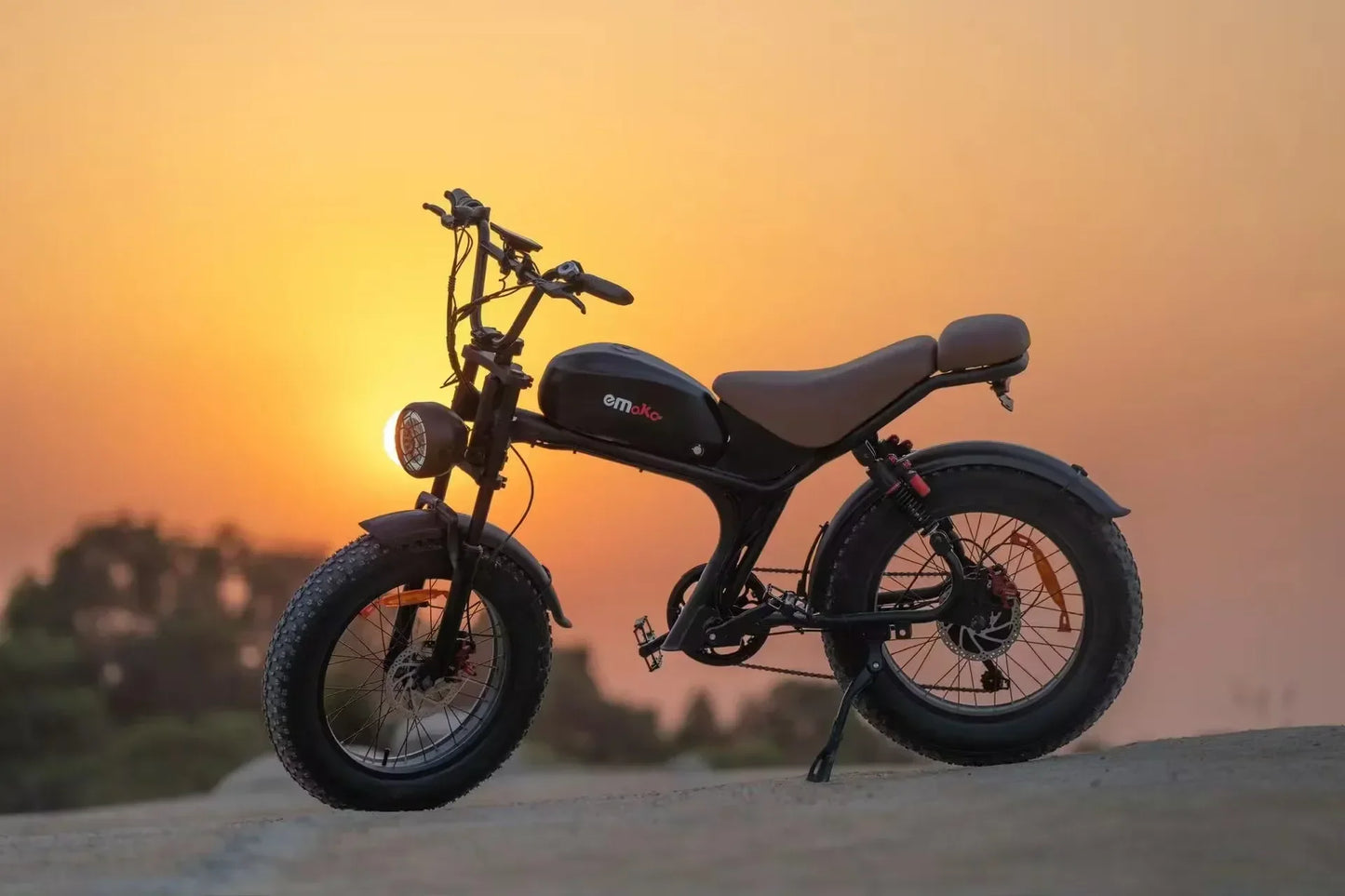 Electric bike C93 2000w dual motor 48V 23AH lithium battery adult Electric bicycle