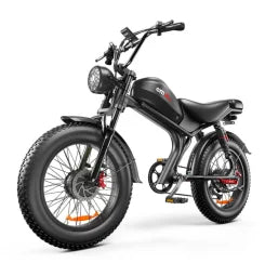Electric bike C93 2000w dual motor 48V 23AH lithium battery adult Electric bicycle