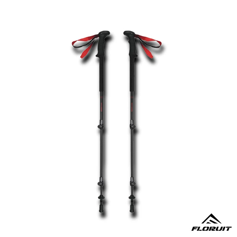 FLORUIT Customized Ski Alpine Ski Manufacturer China High Quality OEM Wide Backcounty Skis