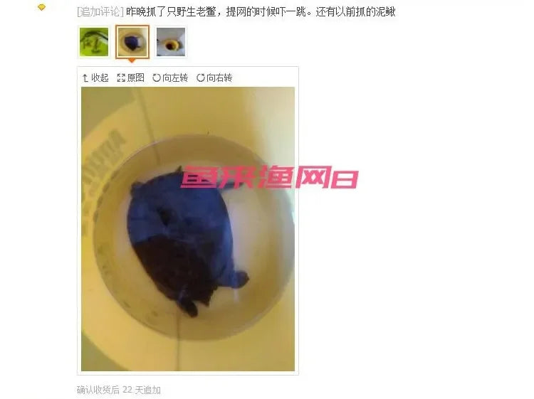 Shrimp cage fishing net lobster crab eel loach catch folding net fishing gear fishing net