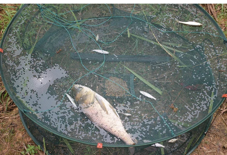 Shrimp cage fishing net lobster crab eel loach catch folding net fishing gear fishing net