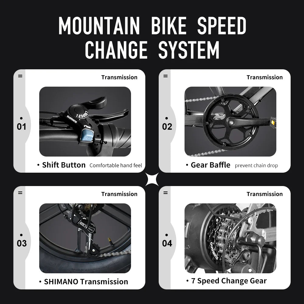 Deepower Electric Bike QS7 1000W 48V 60AH 20 Inch Fat Tire Ebike for Adults Mountain Off-Road Dual Batteries