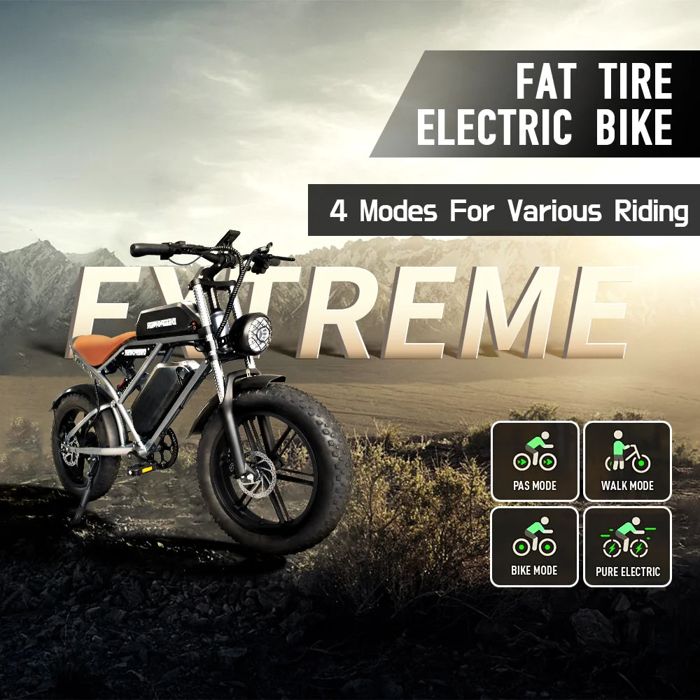 Deepower Electric Bike QS7 1000W 48V 60AH 20 Inch Fat Tire Ebike for Adults Mountain Off-Road Dual Batteries