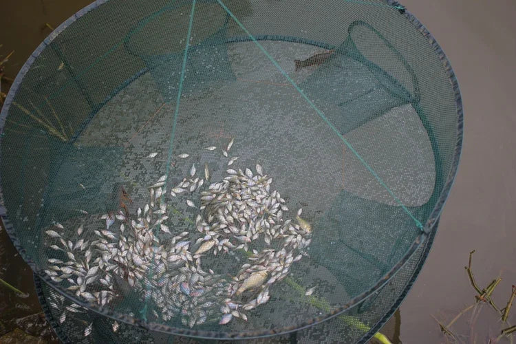 Shrimp cage fishing net lobster crab eel loach catch folding net fishing gear fishing net