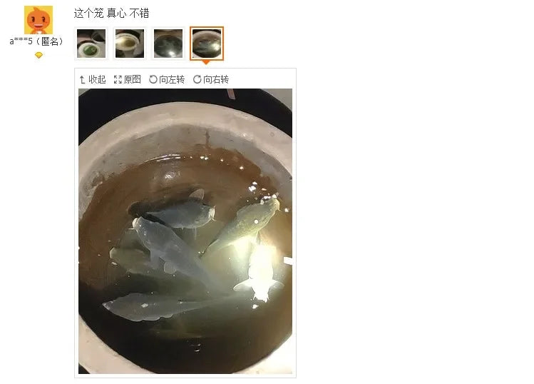 Shrimp cage fishing net lobster crab eel loach catch folding net fishing gear fishing net